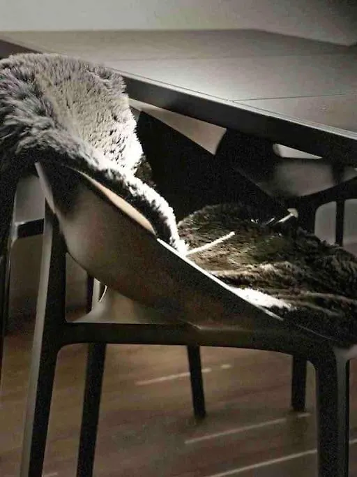 Design Apartment - Wohnen Mit Stil Und Komfort Leipzig Germany